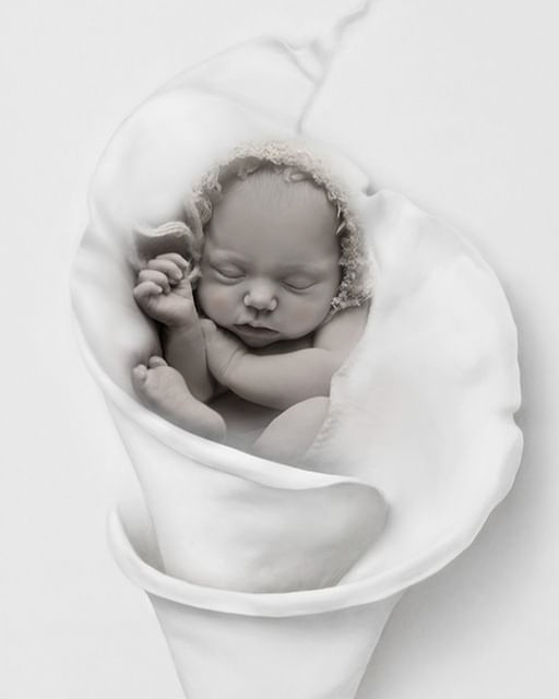 Newborn Portrait taken in Louisville, KY at Andi Brooks Studio